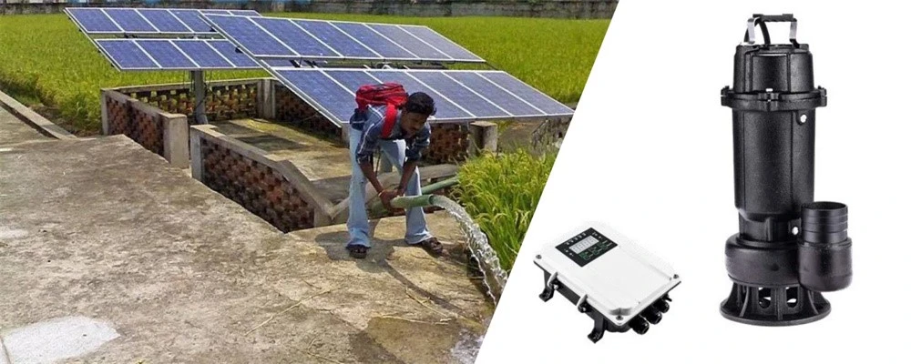 solar pump for river water intaking